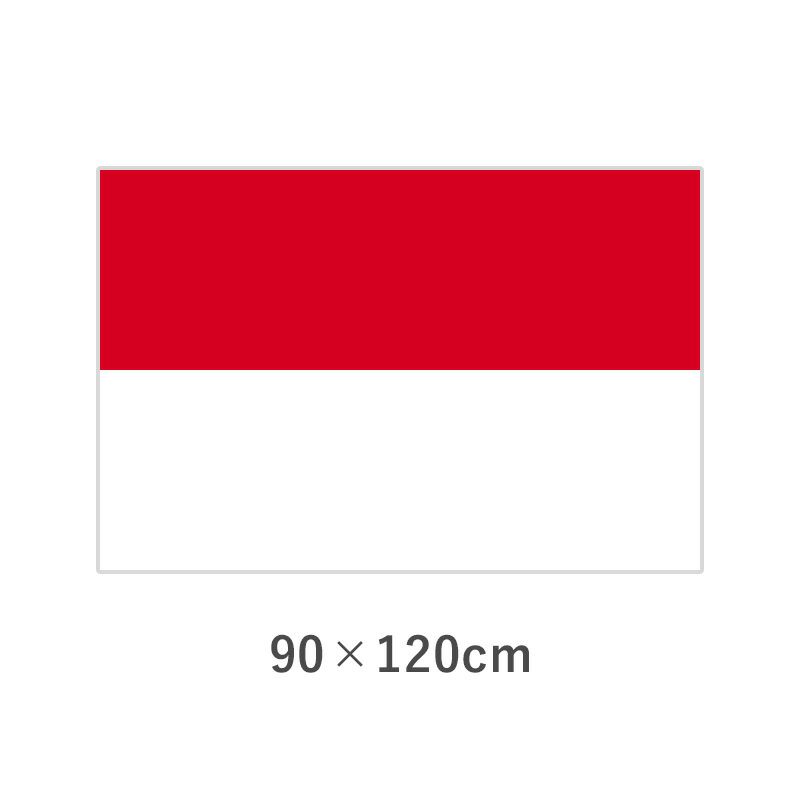 インドネシア エクスラン外国旗(90×120cm)　TNA-024-2
