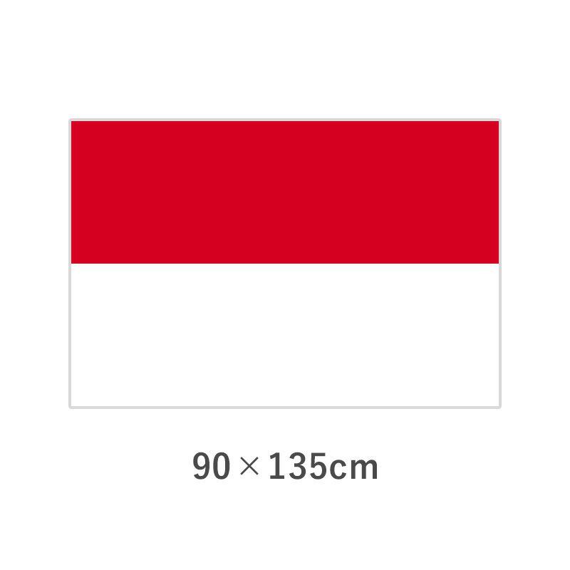 インドネシア エクスラン外国旗(90×135cm)　TNA-024-3