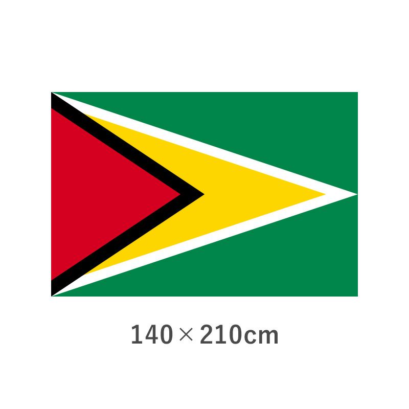 ガイアナ エクスラン外国旗(140×210cm)　TNA-046-6