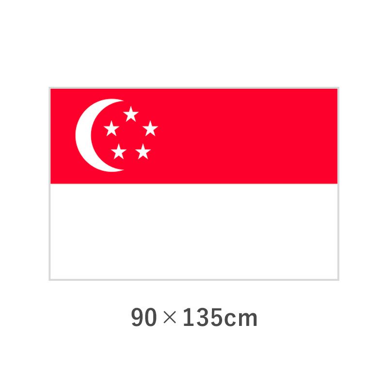 シンガポール エクスラン外国旗(90×135cm)　TNA-074-3