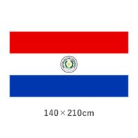 パラグアイ エクスラン外国旗(140×210cm)　TNA-138-6