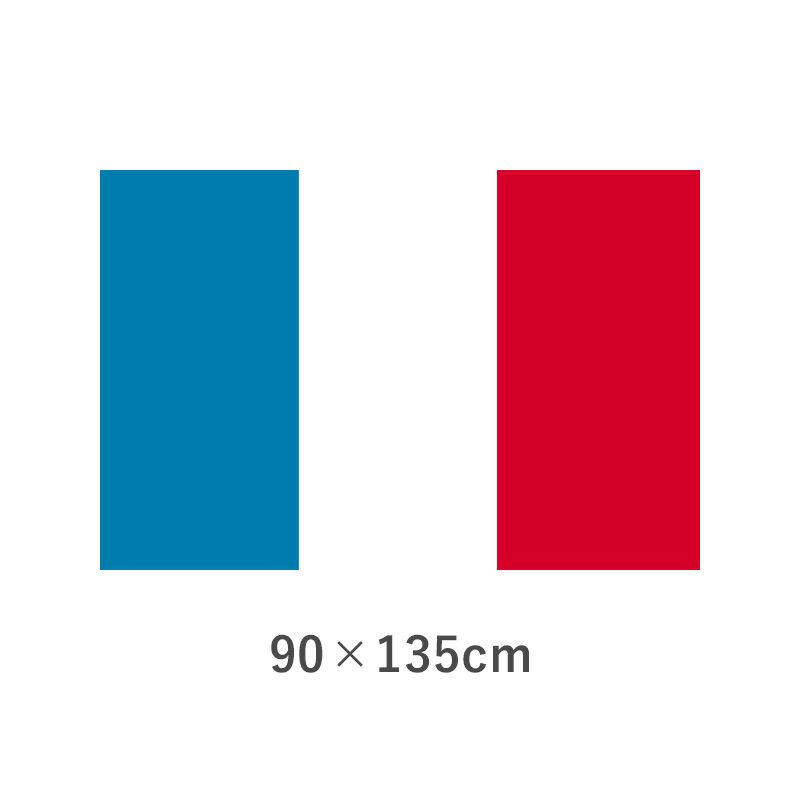 フランス エクスラン外国旗(90×135cm)　TNA-143-3