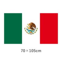メキシコ エクスラン外国旗(70×105cm)　TNA-175-5