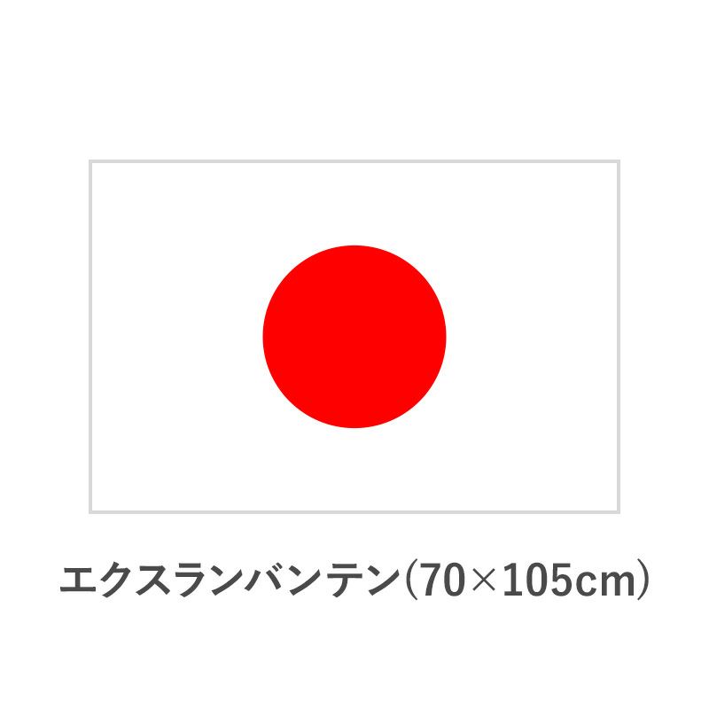 国旗　エクスランバンテン(70×105cm)　TNA-KOKKI-310
