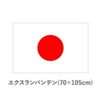 国旗　エクスランバンテン(70×105cm)　TNA-KOKKI-310