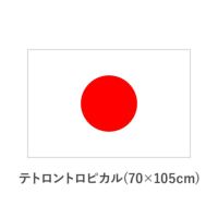 国旗　テトロントロピカル(70×105cm) TNA-KOKKI-450