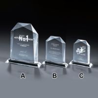 デリシャスレーザーアート2D表彰楯 VSH-VOS-453-B（185×160mm)