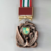 鳳凰メダル・銅-WIN-LFH-80-BRONZE