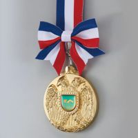 V-TOPワシメダル WIN-LFW-80