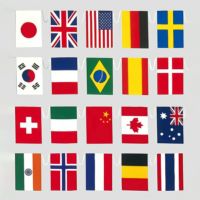 新・万国旗テトロン　連続紐付全長18ｍ 30カ国