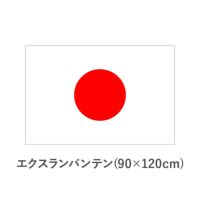 国旗　エクスランバンテン(90×120cm)　TNA-KOKKI-315