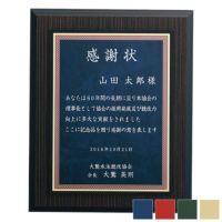 レーザー彫刻木製表彰楯 WEA-SHP-7426-A (300×240mm）